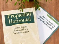 EL PROCESO ESPECIAL CONTRA LOS DEUDORES DE LAS COMUNIDADES DE PROPIETARIOS